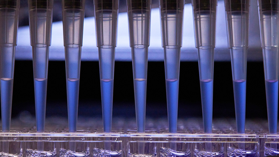 Research pipettes in laboratory setting